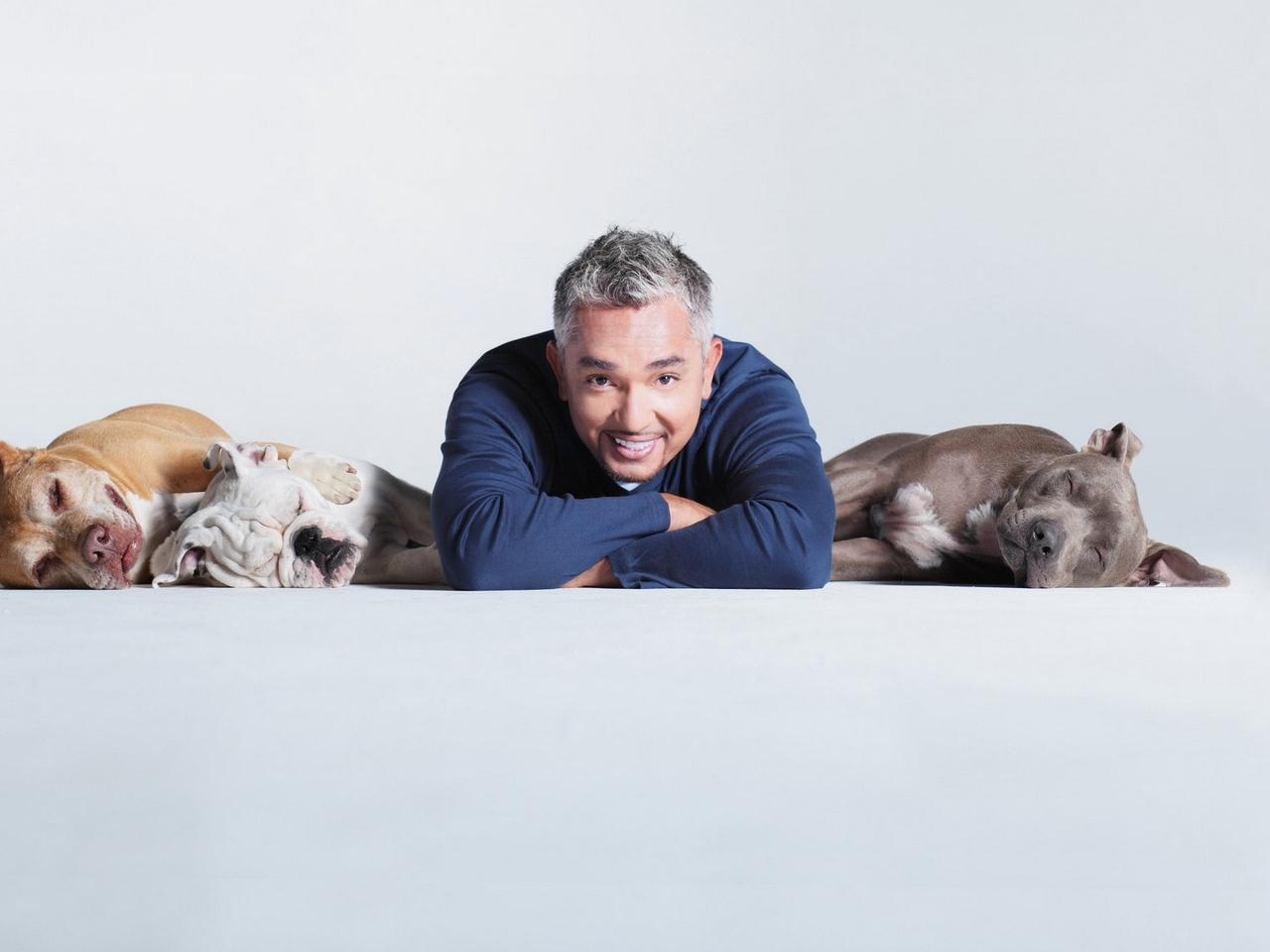 1280x960 Download wallpaper  cesar millan, dog, trainer, death, fraud, Desktop