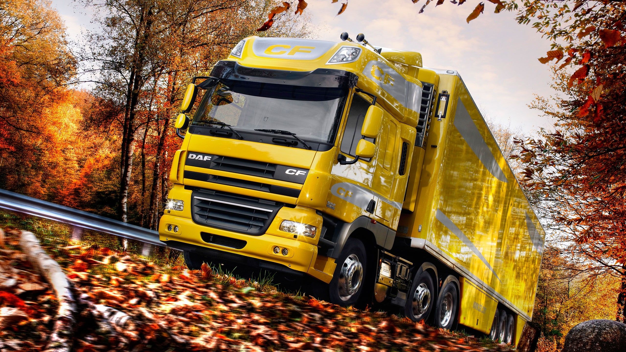 2560x1440 DAF HD Wallpaper and Background Image, Desktop