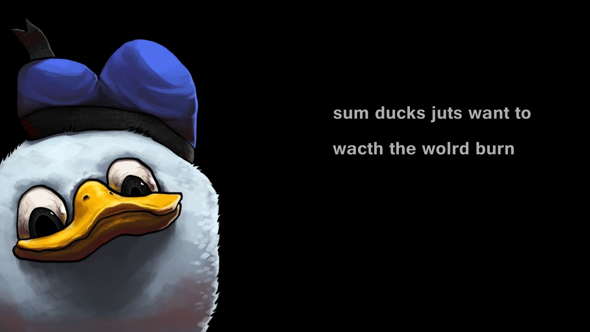 1920x1080 Wallpaper, duck, Penguin, beak, Dolan, Donald, graphics,  px, computer wallpaper, flightless bird, vertebrate, font, water bird, ducks geese and swans, Desktop