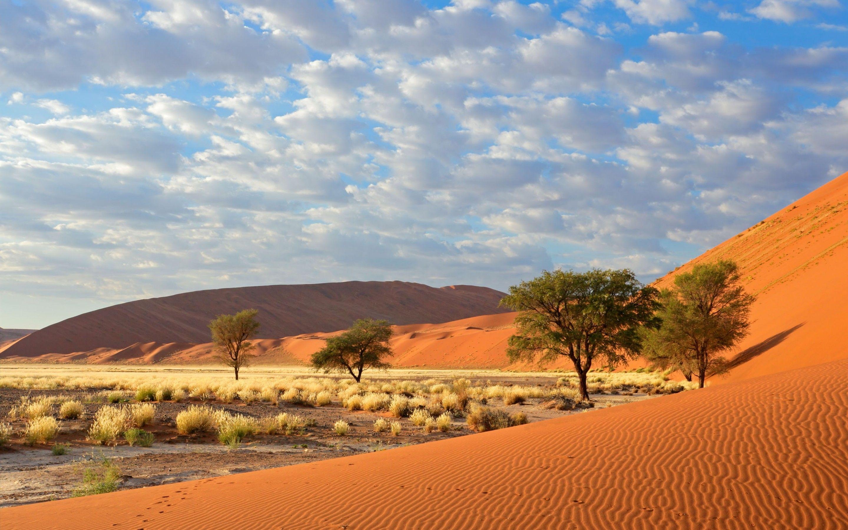 2880x1800 Sossusvlei Namib Naukluft National Park Namibia 1800x2880, Desktop