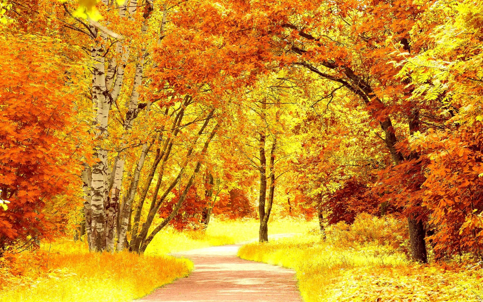 1920x1200 Fall Scenery Wallpaper, Desktop
