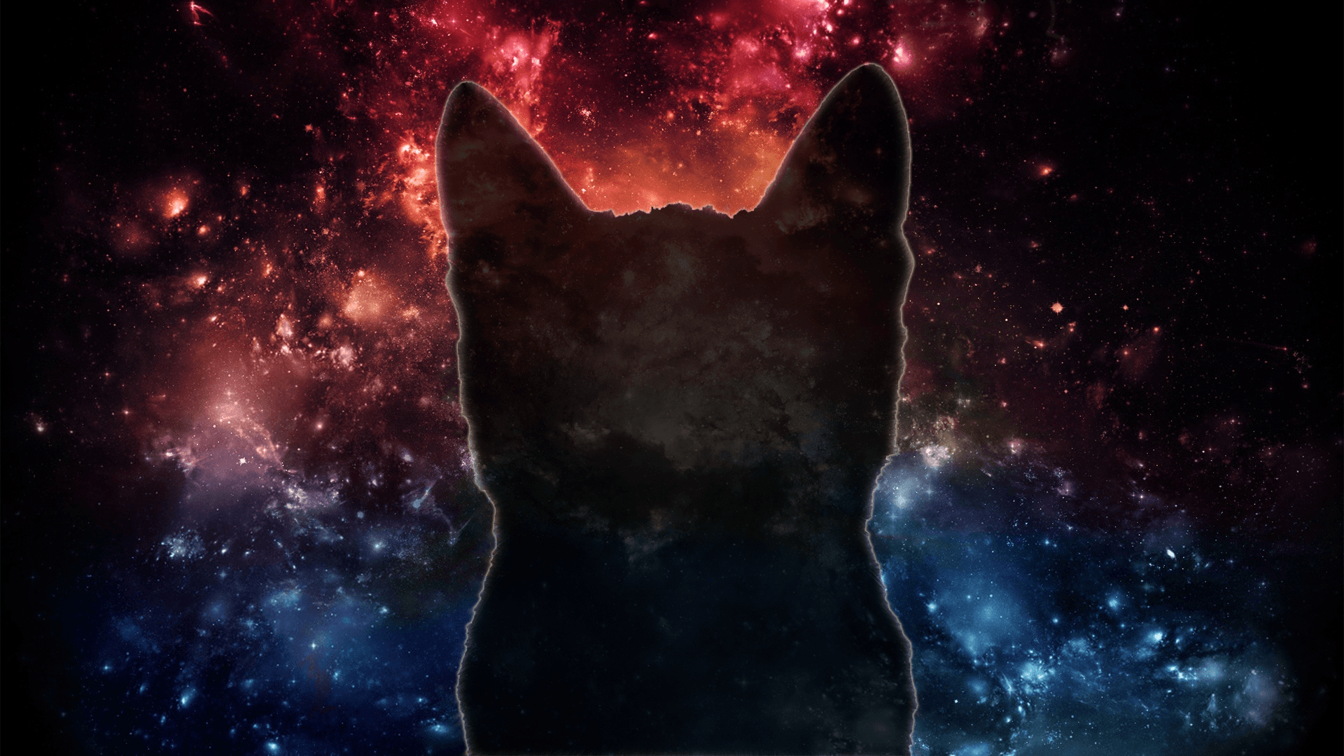 1920x1080 Galaxy Cat Wallpaper Free Galaxy Cat Background, Desktop