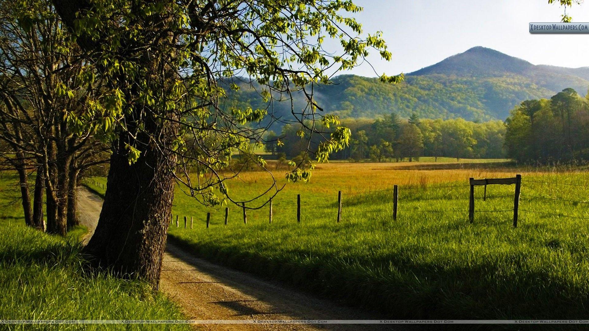 1920x1080 Hyatt Lane in Spring, Great Smoky Mountains, Tennessee Wallpaper, Desktop