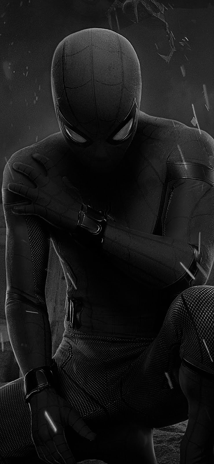 740x1600 Download 15 Spiderman Black Wallpaper, Phone