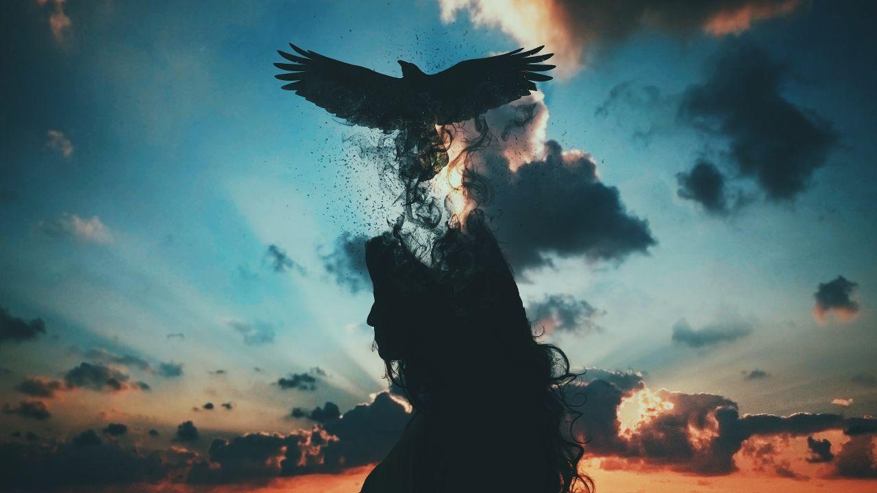 1280x720 Wallpaper Freedom, Break free, Alone, Bird, CGI, 4K, Fantasy, Desktop