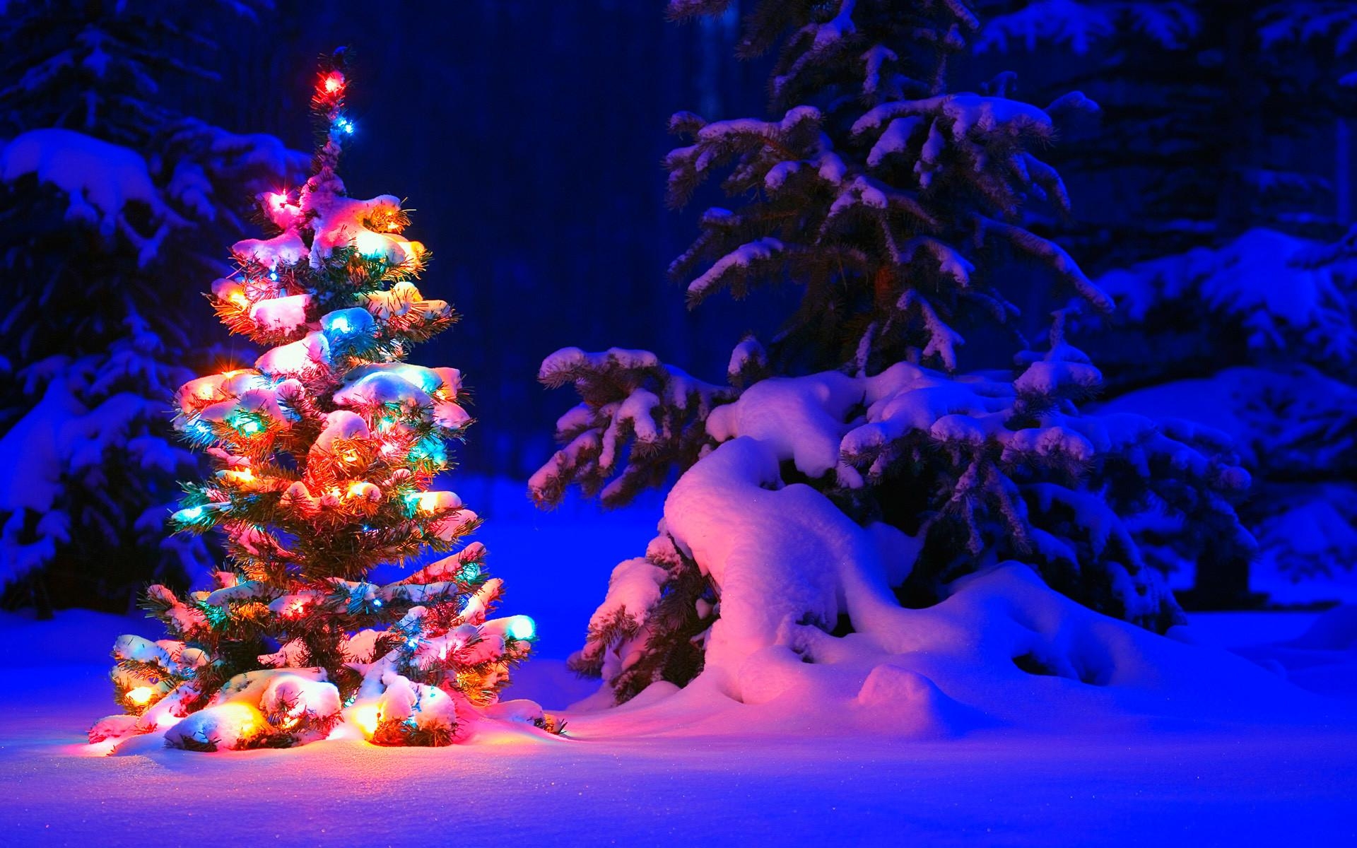 1920x1200 Christmas Screen Background, Desktop