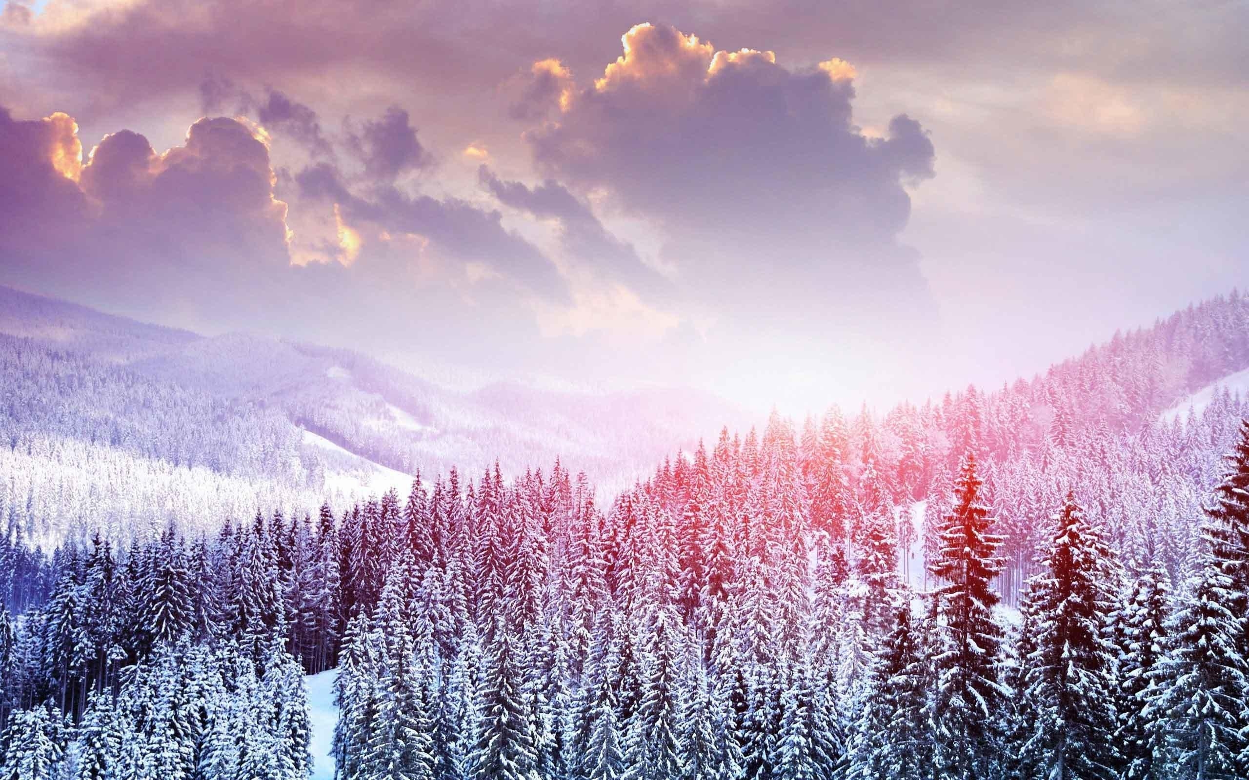 2560x1600 Cute Winter Wallpaper, Desktop