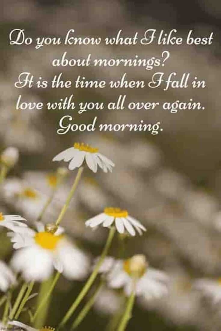 740x1110 Good Morning Quotes And Wishes With Beautiful Image, Phone