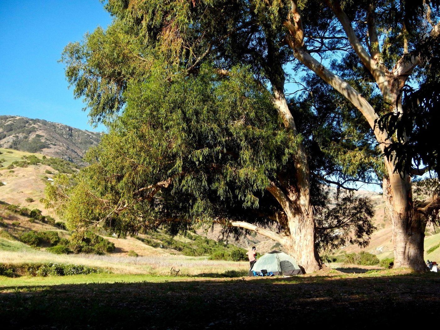 1400x1050 Channel Islands National Park: Kayak thrills, foxy neighbors, Desktop