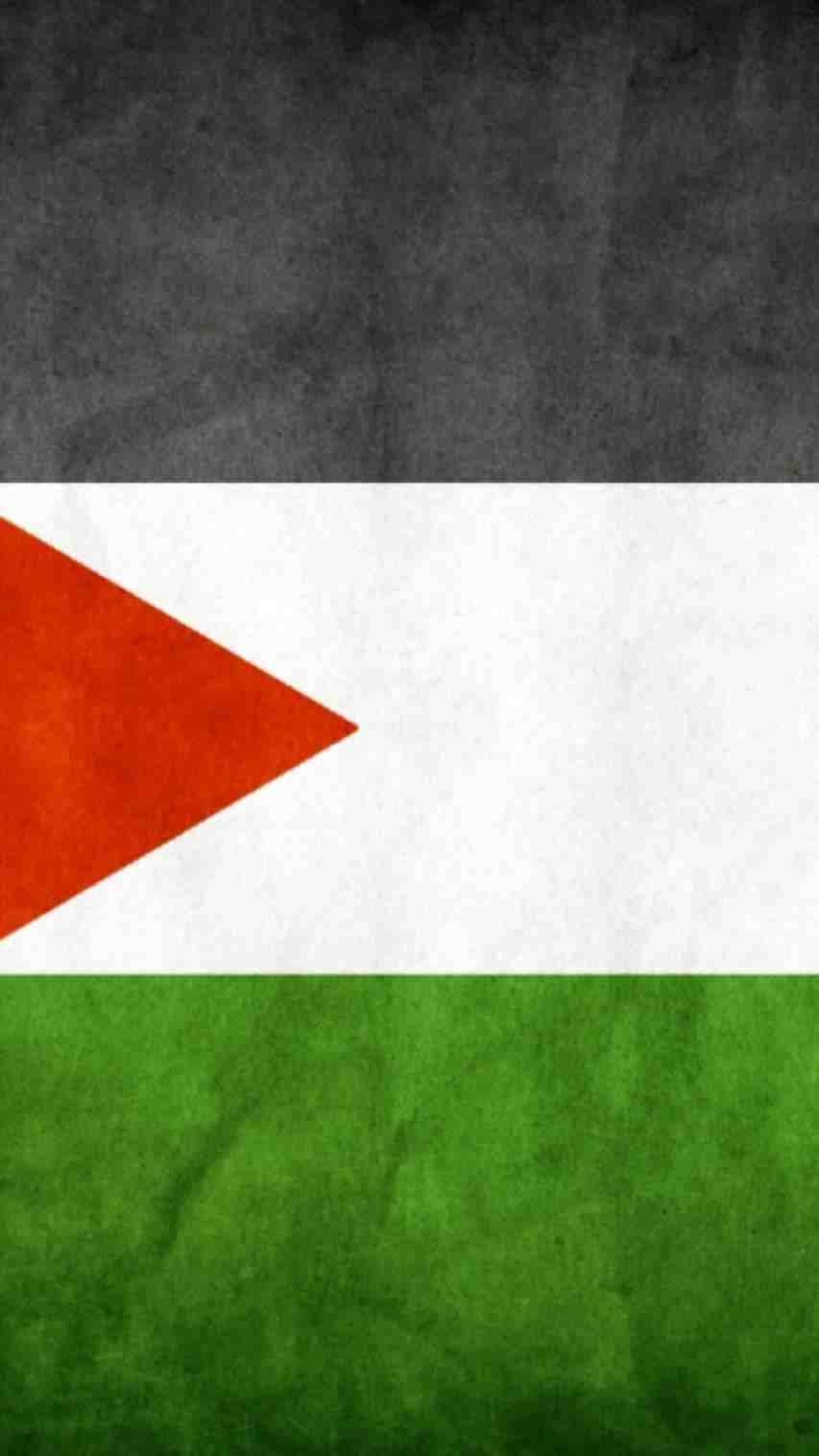 860x1520 Palestine Wallpaper Wallpaper iPhone HD, Phone