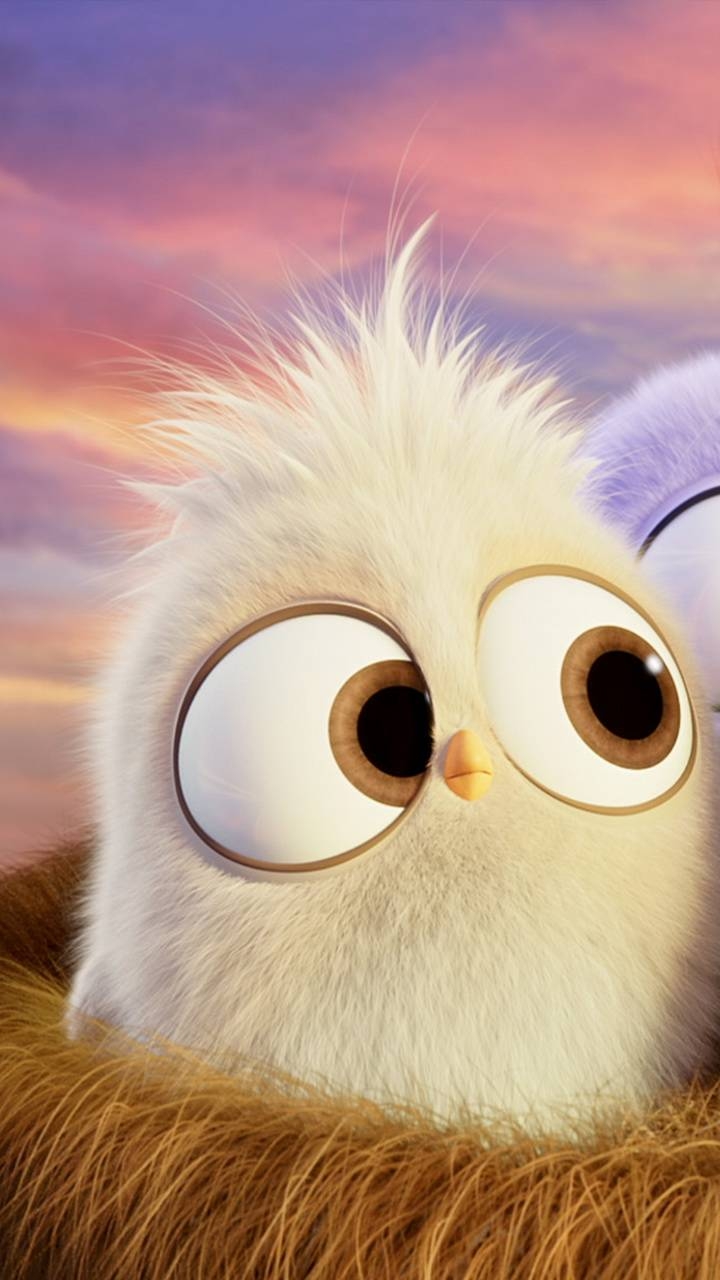 720x1280 cute angry bird wallpaper, Phone