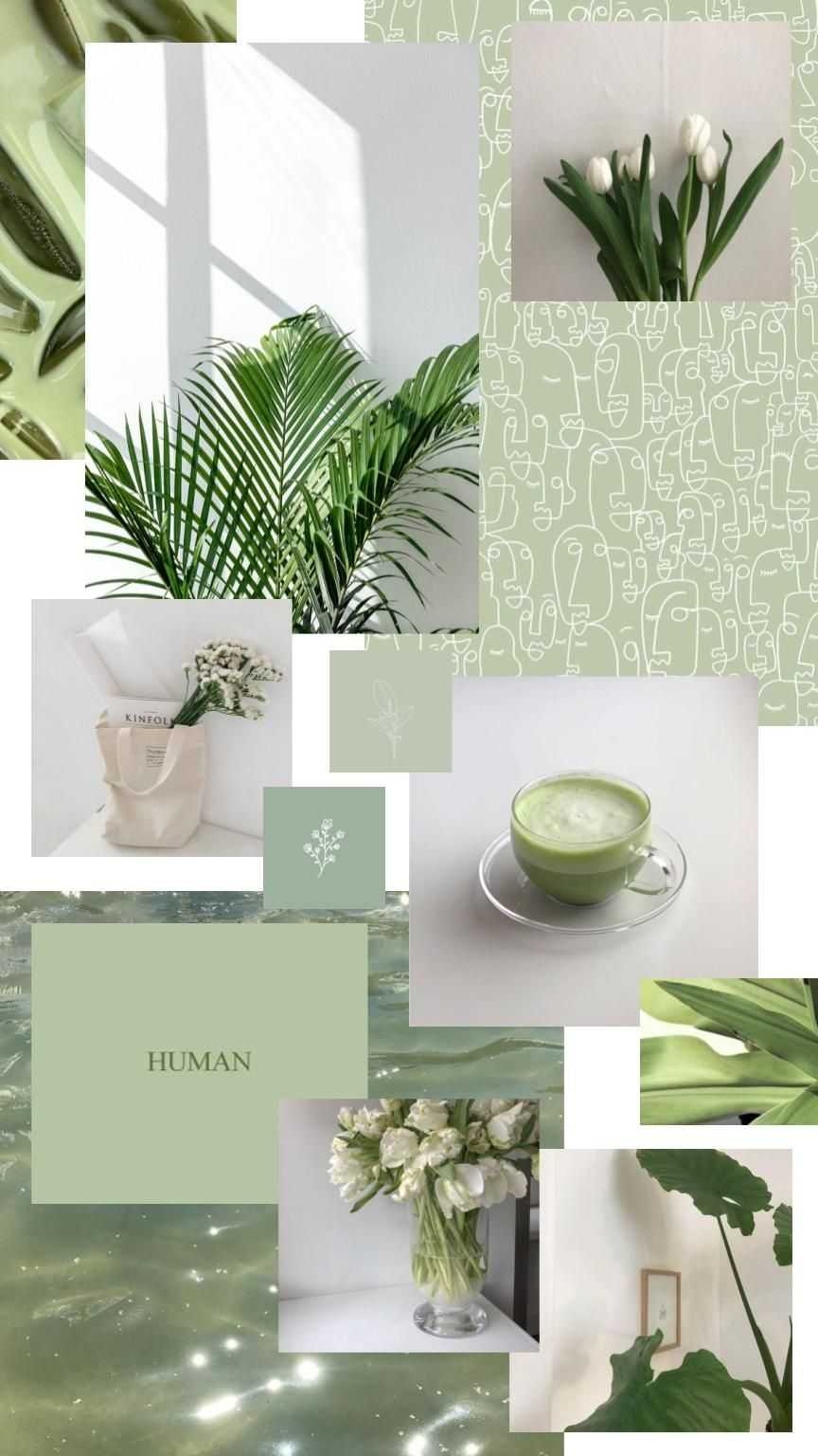 870x1540 Sage Green Aesthetic Wallpaper Free Sage Green Aesthetic Background, Phone