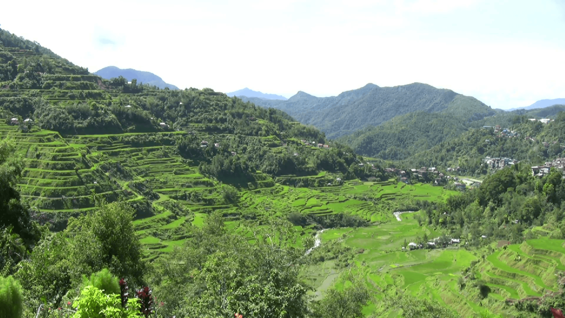 1920x1080 Banaue rice terraces, Philippines Stock Video Footage, Desktop