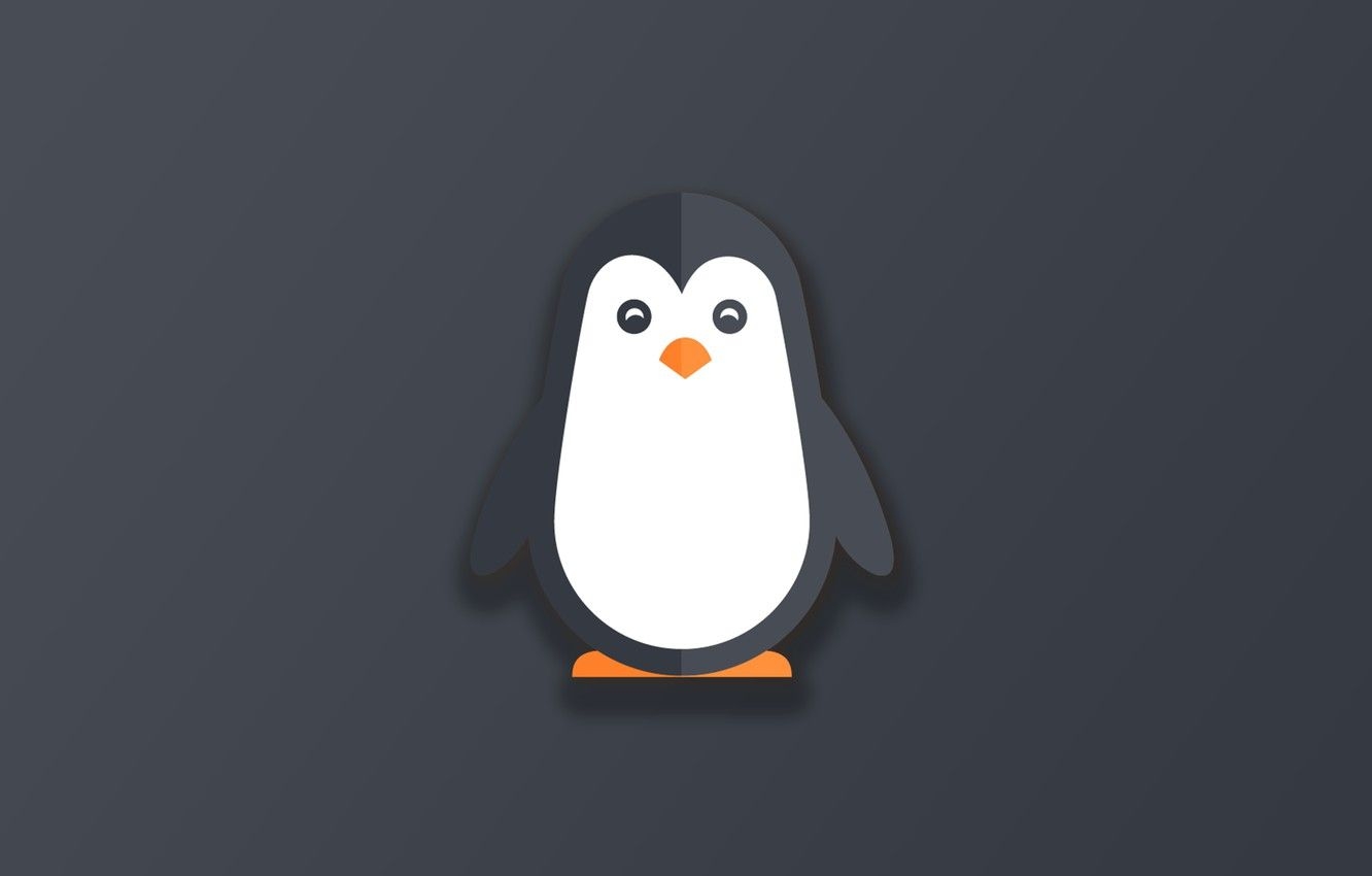 1340x850 Wallpaper minimalism, animal, funny, digital art, cute, simple background, grey background, Penguin image for desktop, section минимализм, Desktop