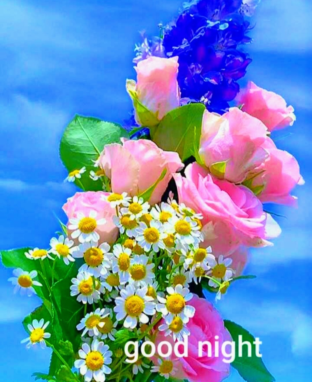 1080x1330 Beautiful Good Night Flowers HD Wallpaper, Phone