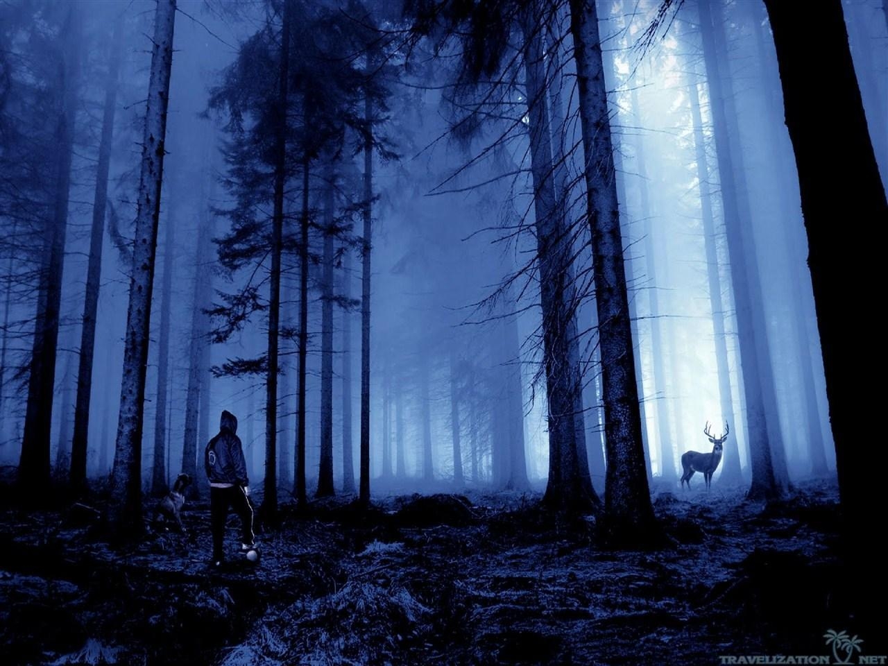 1280x960 Scary Forest Background Wallpaper for Android, Desktop