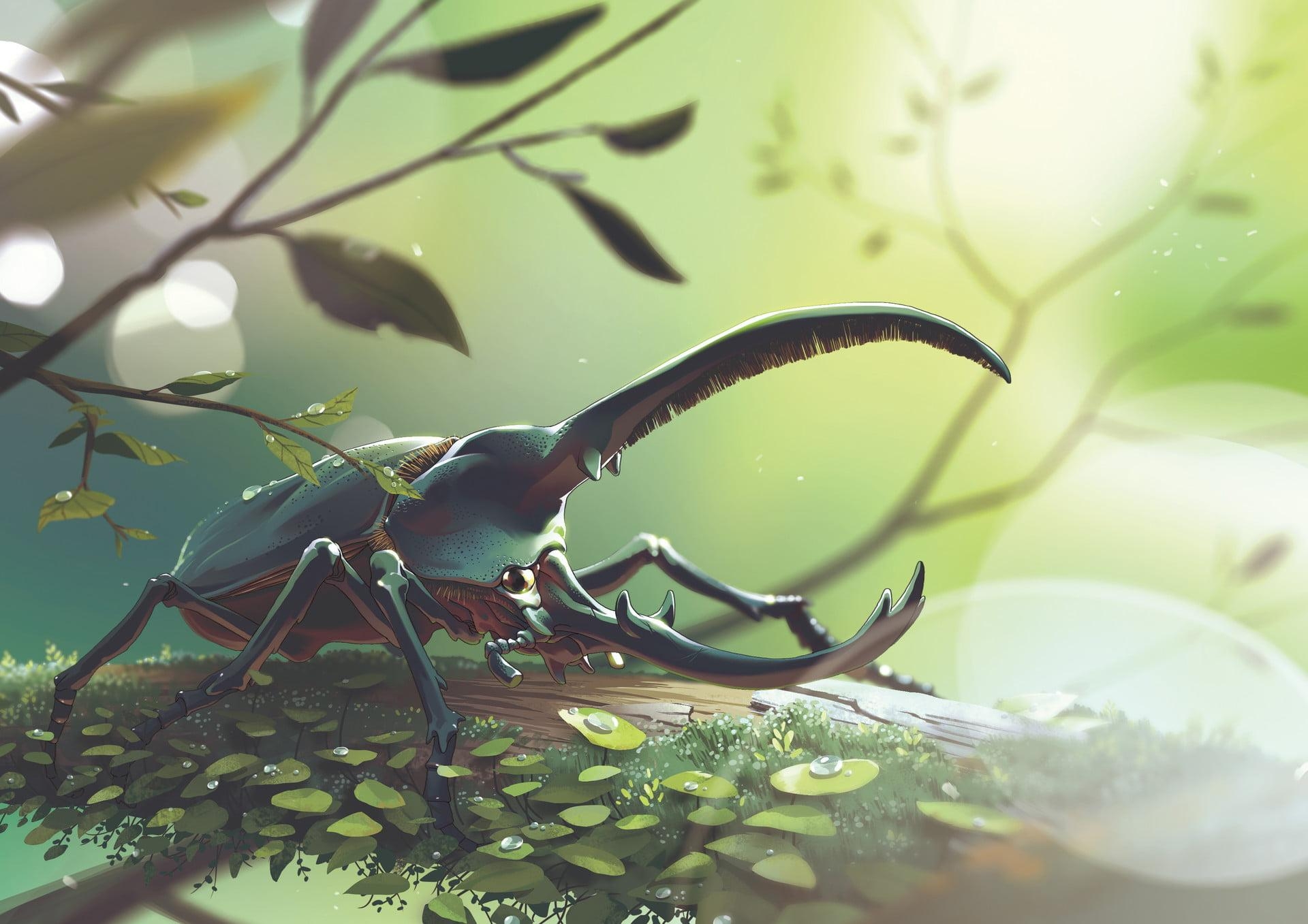 1920x1360 Hercules beetle surrounded by leaves digital wallpaper, Desktop