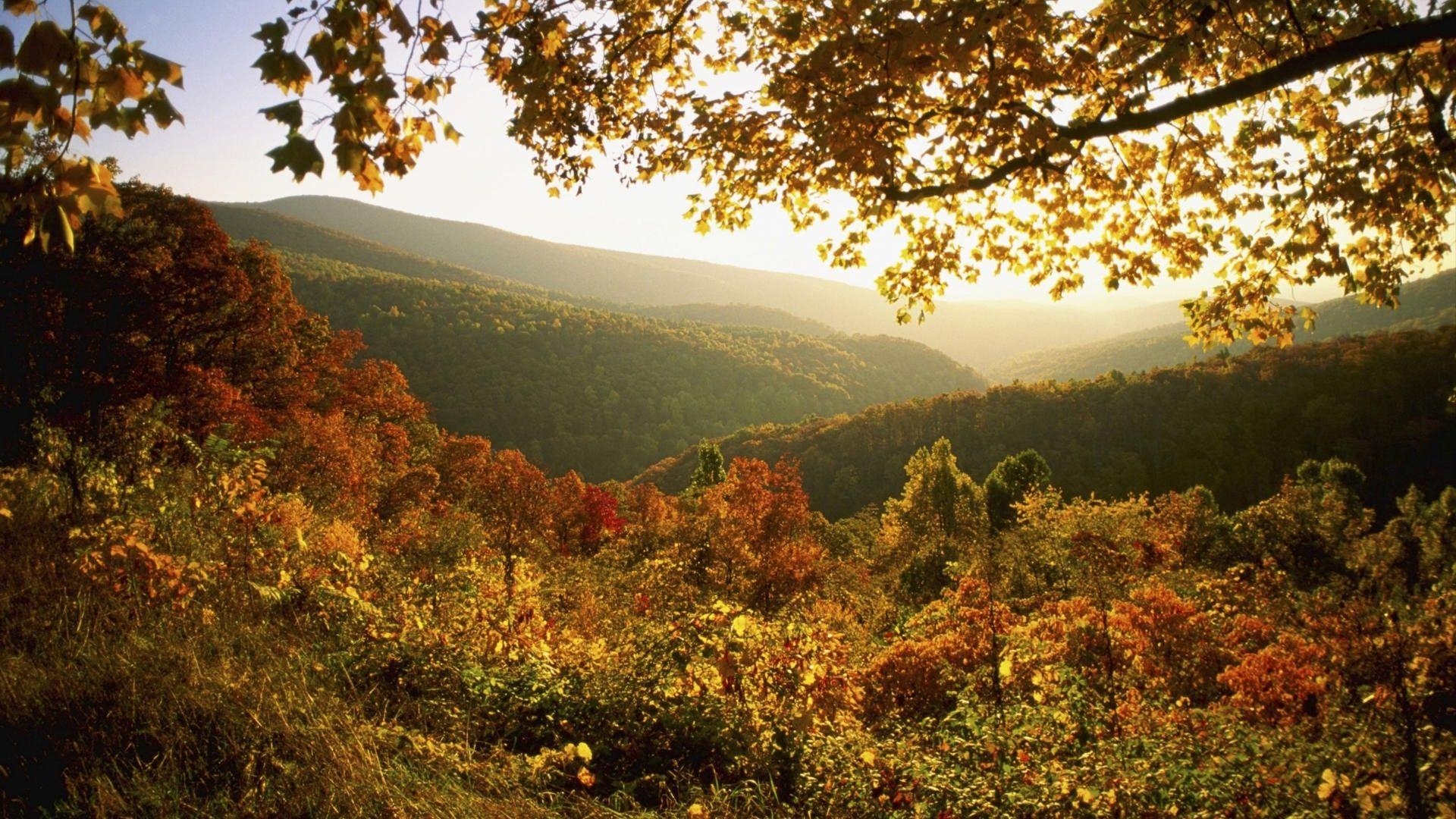1920x1080 Virginia Desktop Wallpaper, Desktop