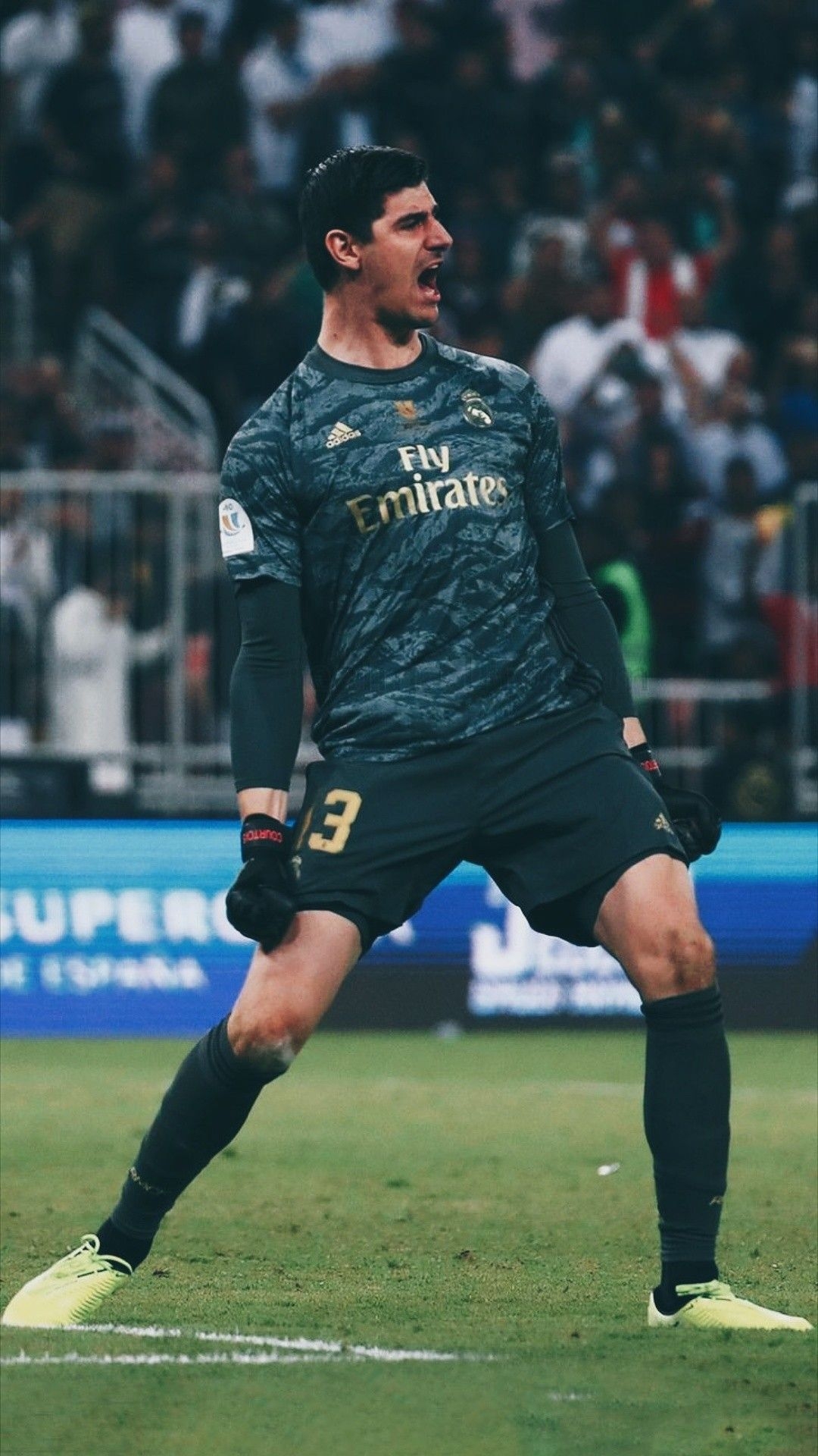 1080x1920 Thibaut Courtois. Christiano ronaldo, Goalkeeper, European football, Phone