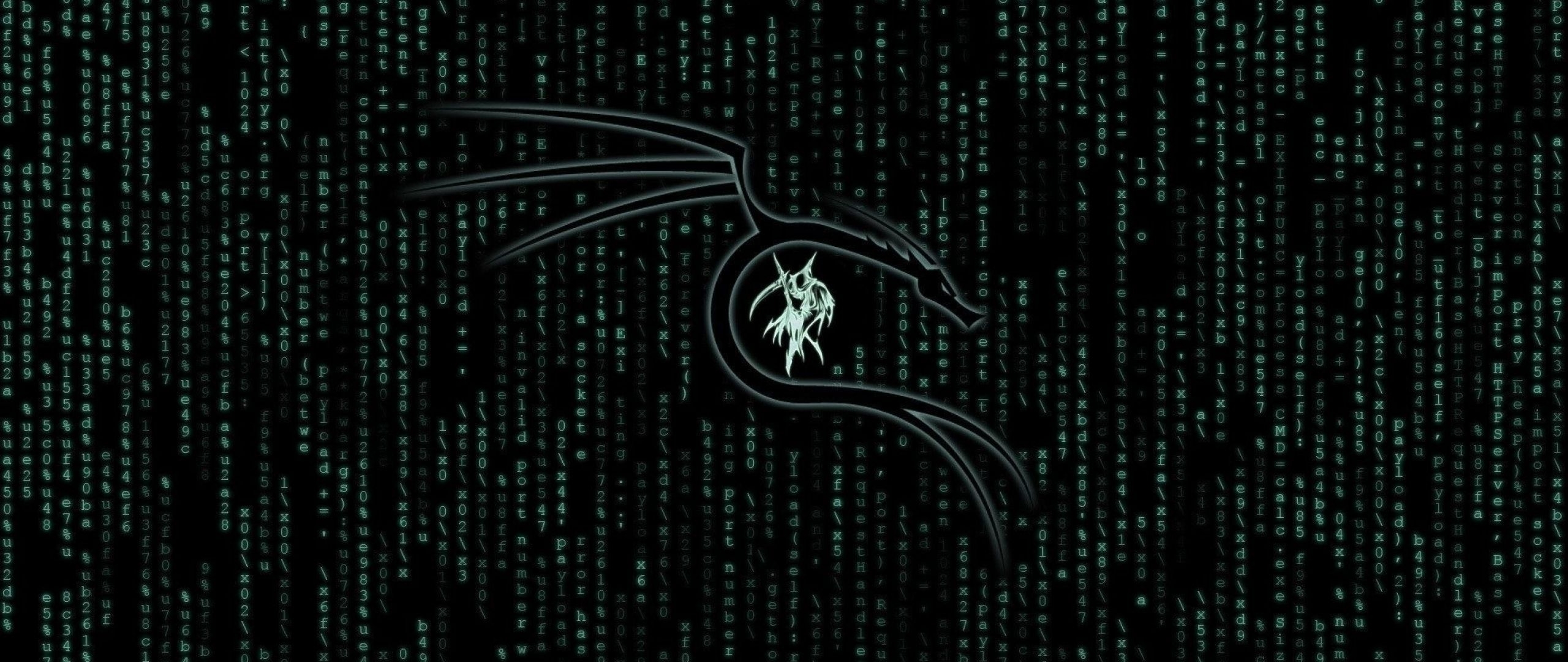 2560x1080 Kali Linux Matrix  Resolution Wallpaper, HD Hi, Dual Screen