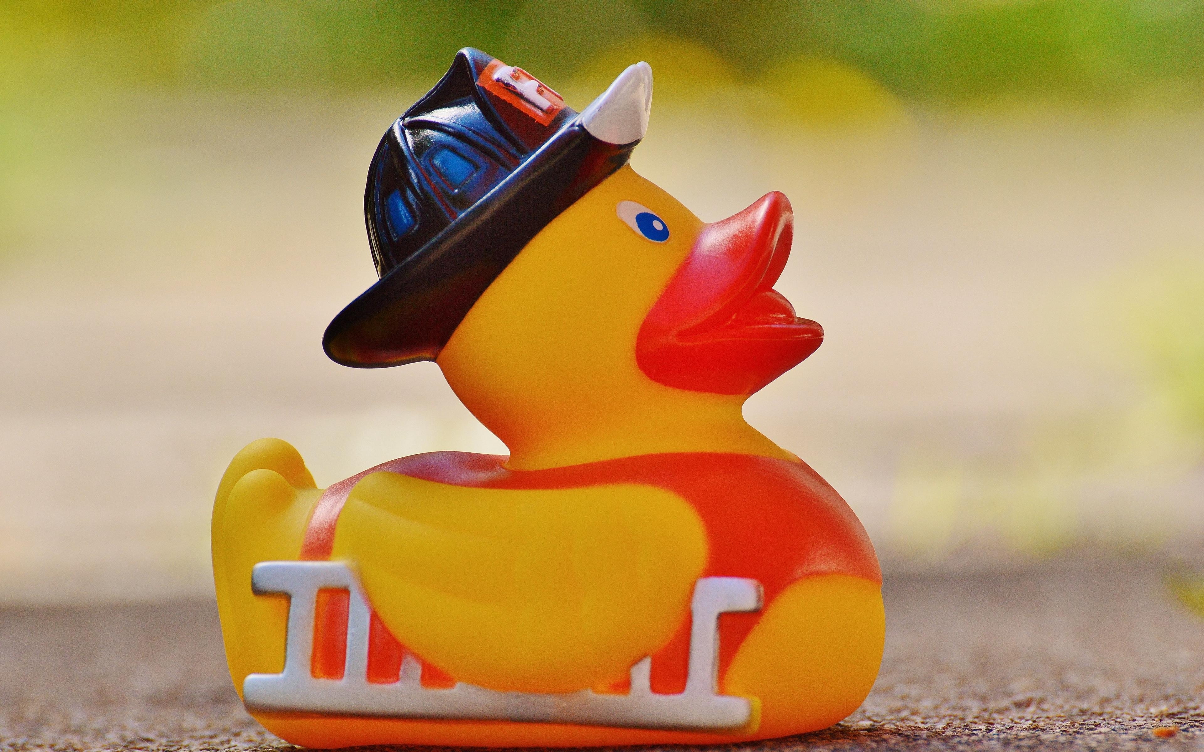 3840x2400 Download wallpaper  rubber duck, duck, toy 4k ultra HD 16:10 HD background, Desktop