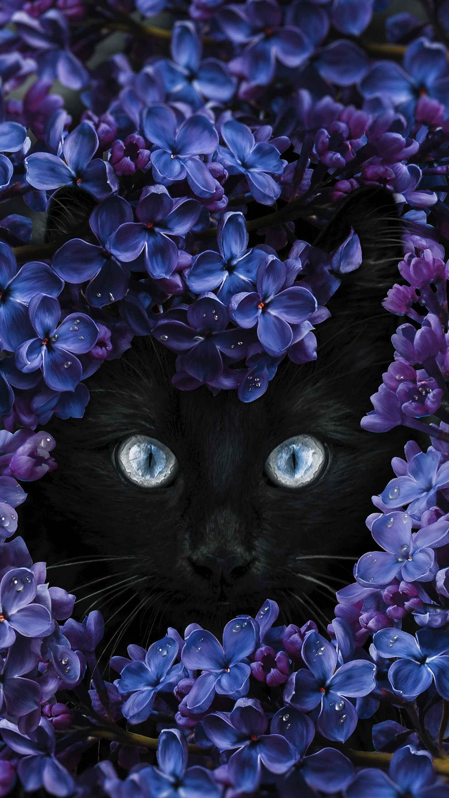 1440x2560 Black Cat Flowers iPhone Wallpaper, Phone