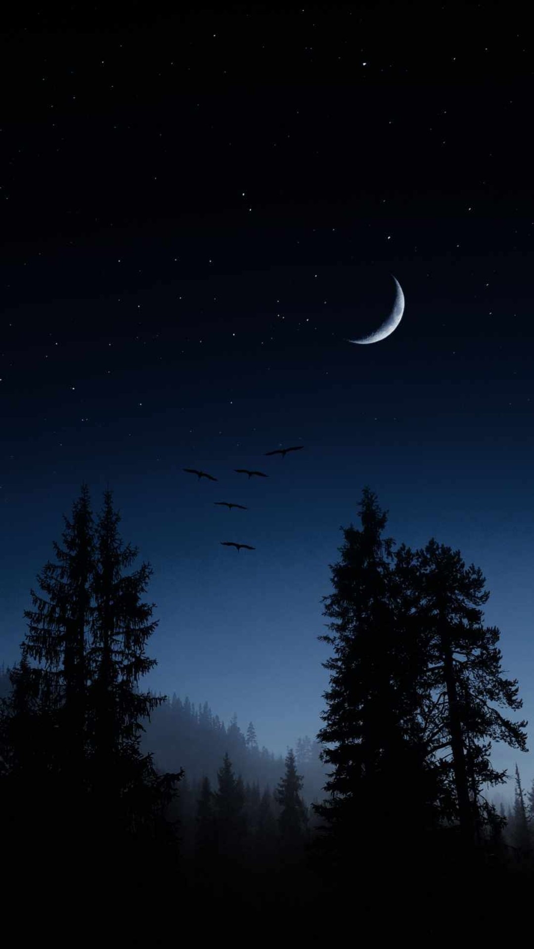 1080x1920 Moon Wallpaper Moon Wallpaper Download, Phone