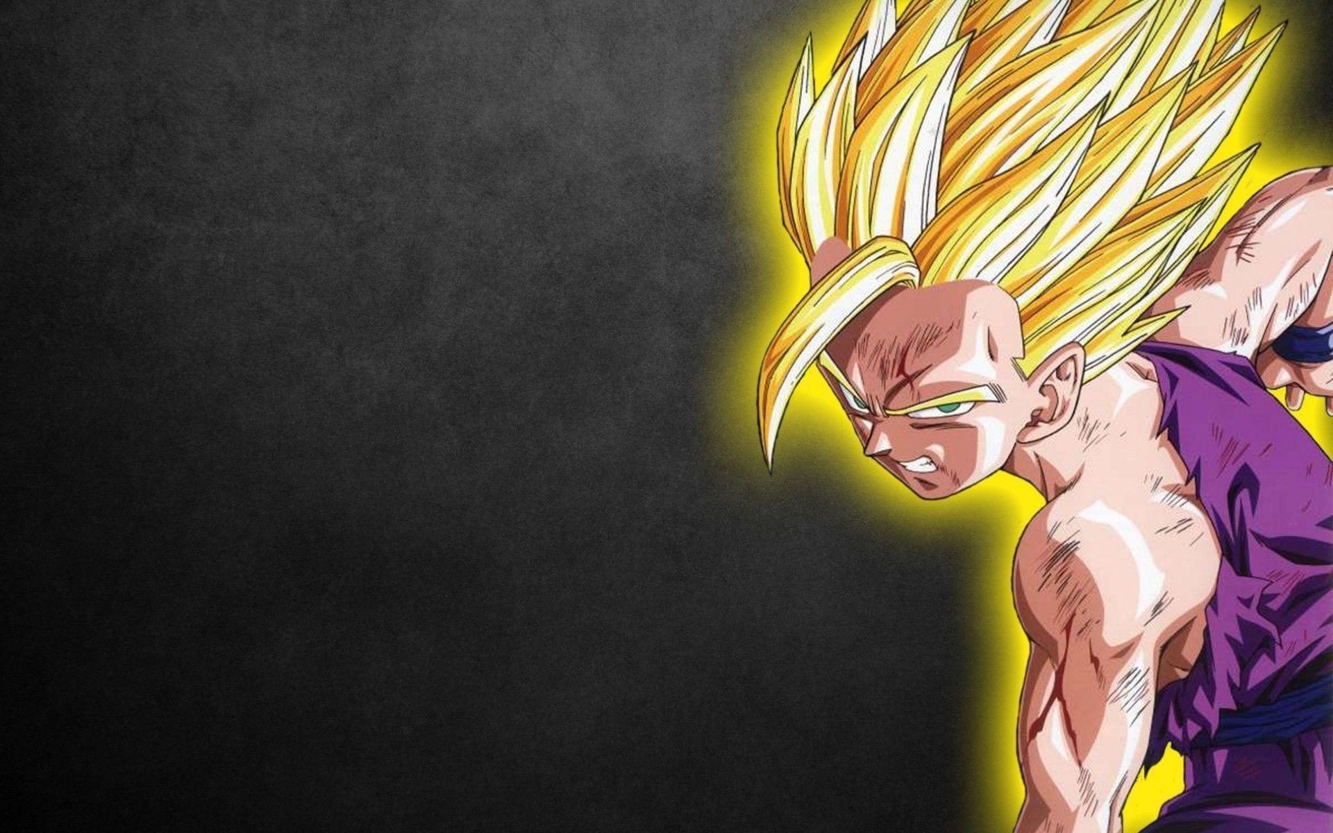 1920x1200 Wallpaper Son Gohan Hight Quality, Desktop