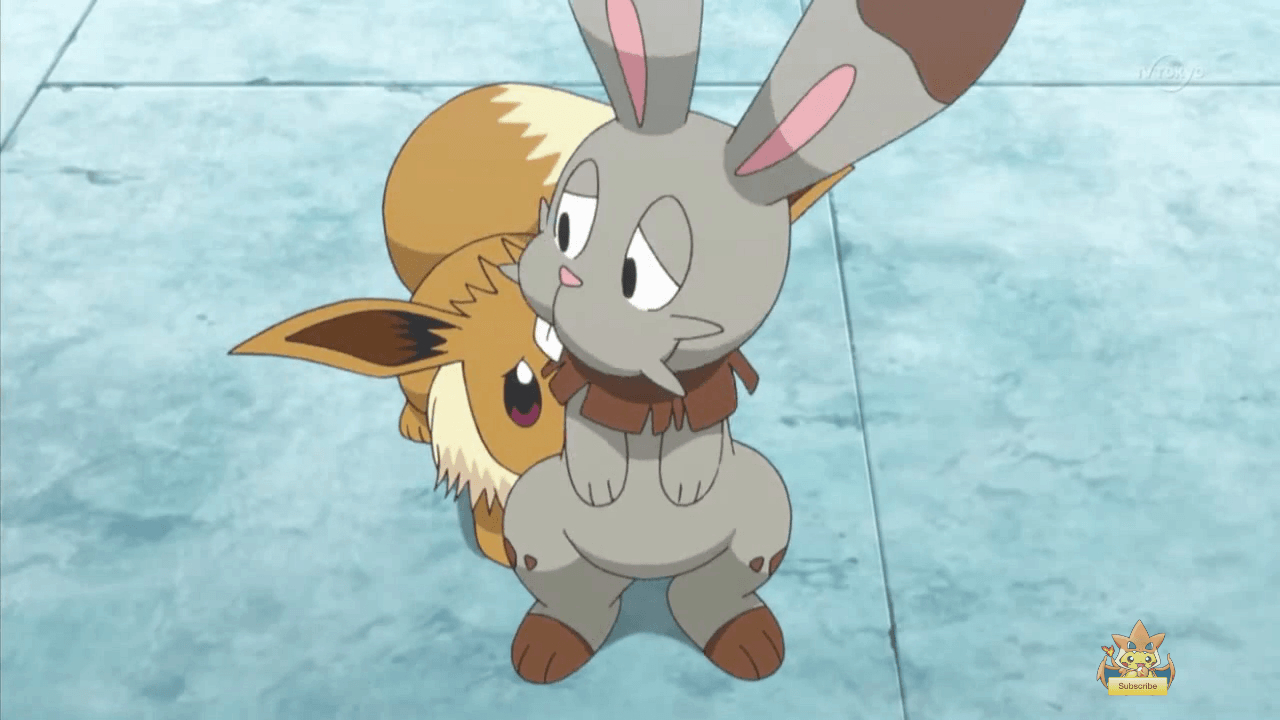 1280x720 Serena's Eevee with Clemont's Bunnelby. Pokemon. Pokémon, Desktop