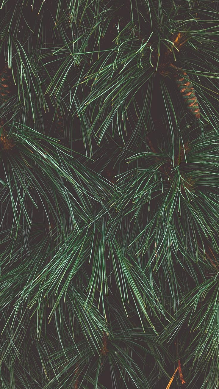 740x1310 Merry Preppy Christmas iPhone Wallpaper, Phone