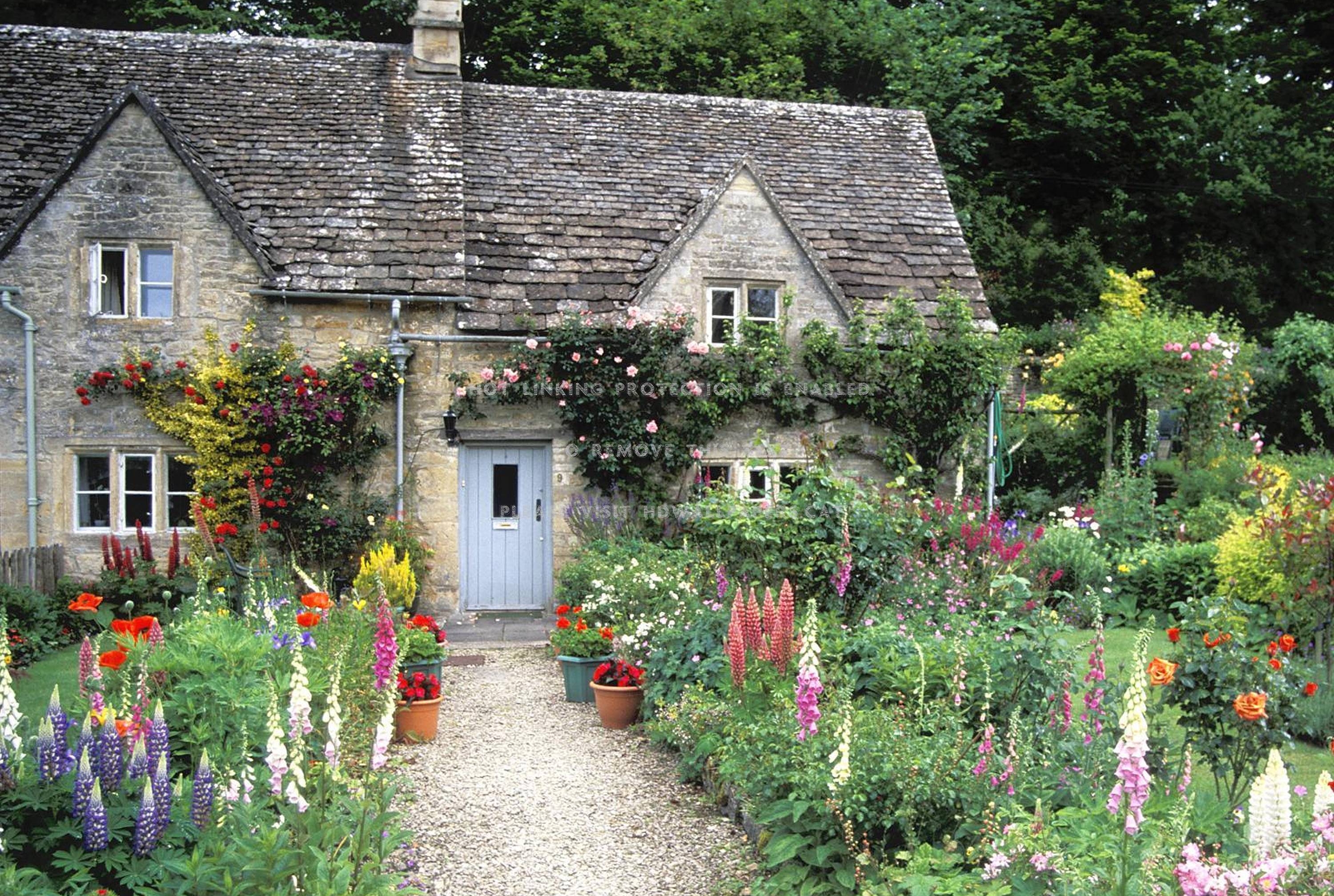 3000x2020 english cottage garden cotswolds lupins uk, Desktop