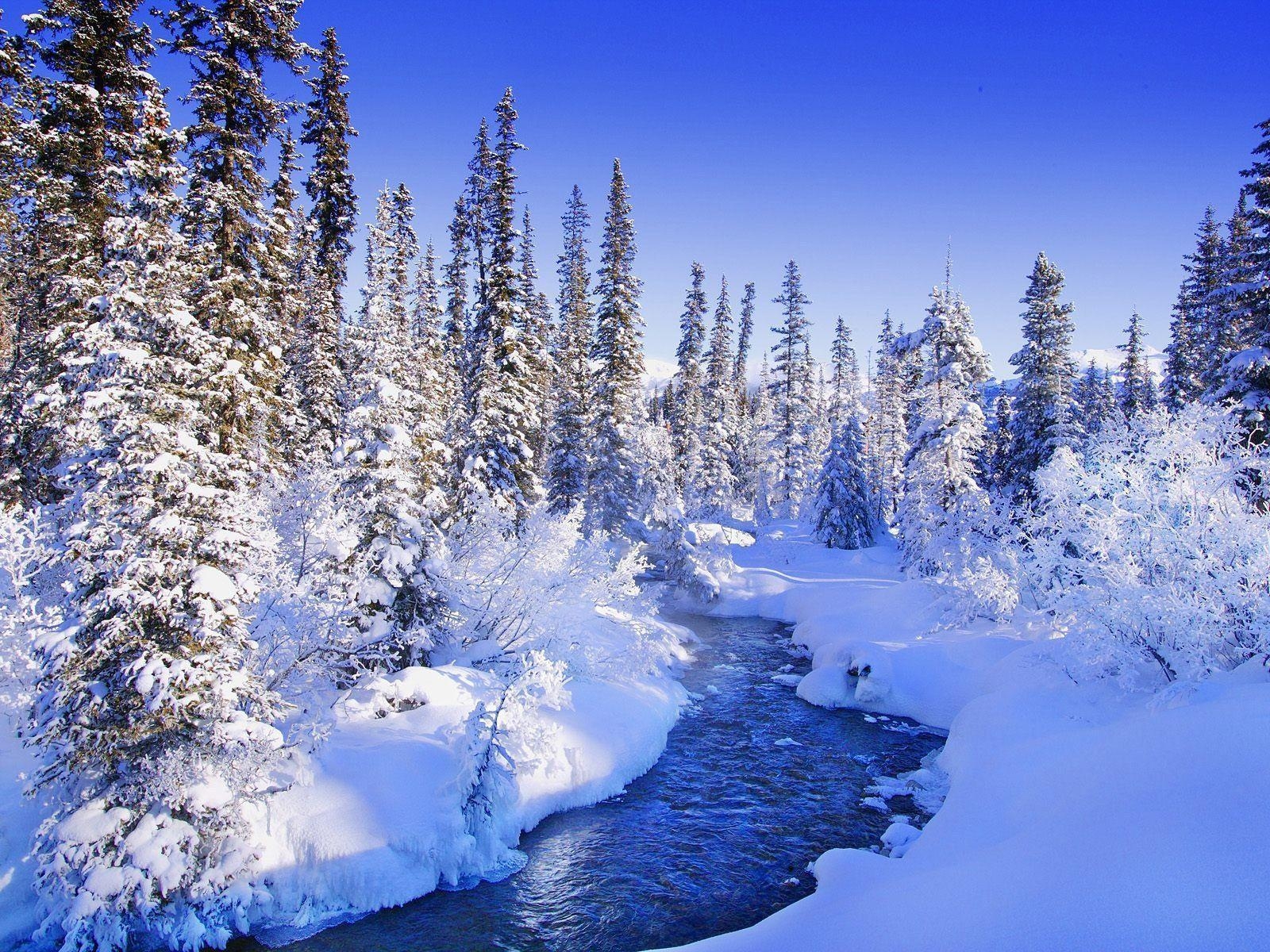 1600x1200 Winter Nature Wallpaper High Resolution, Desktop