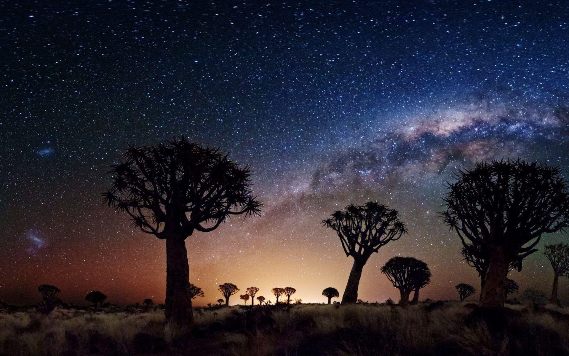 1920x1200 Night Landscape The Milky Way Trees Desert Area In Night Joshua, Desktop