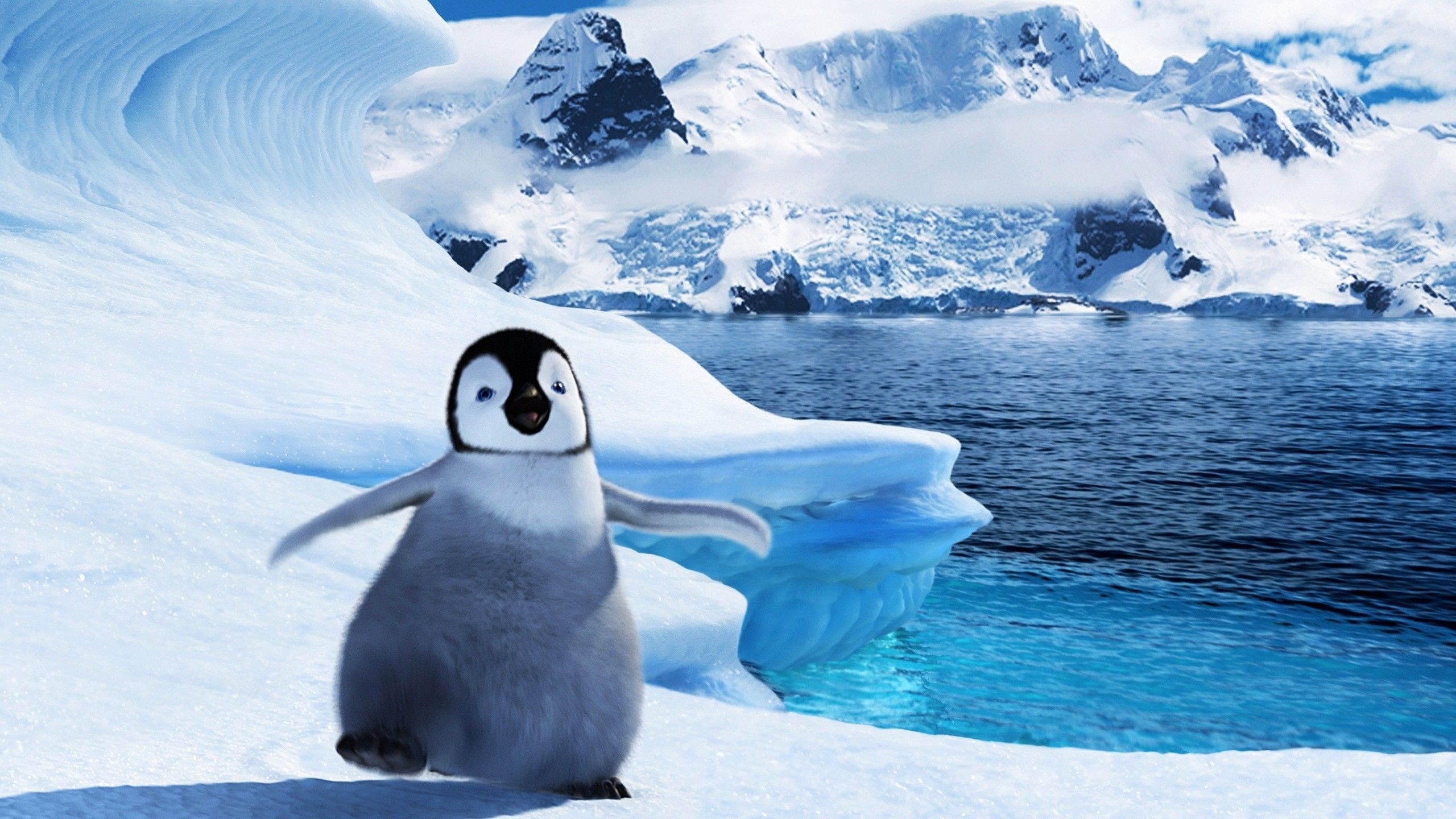 2560x1440 Cute Baby Penguins wallpaperx1440, Desktop