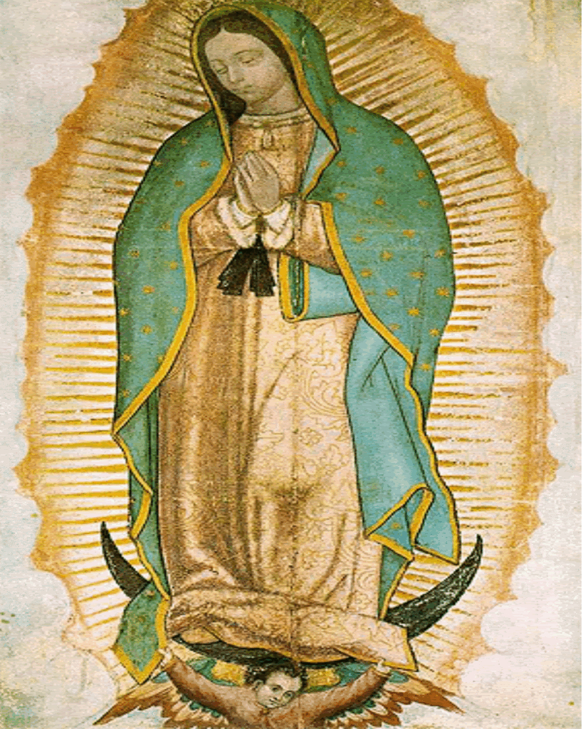 820x1030 La Virgen De Guadalupe Wallpaper to, Phone