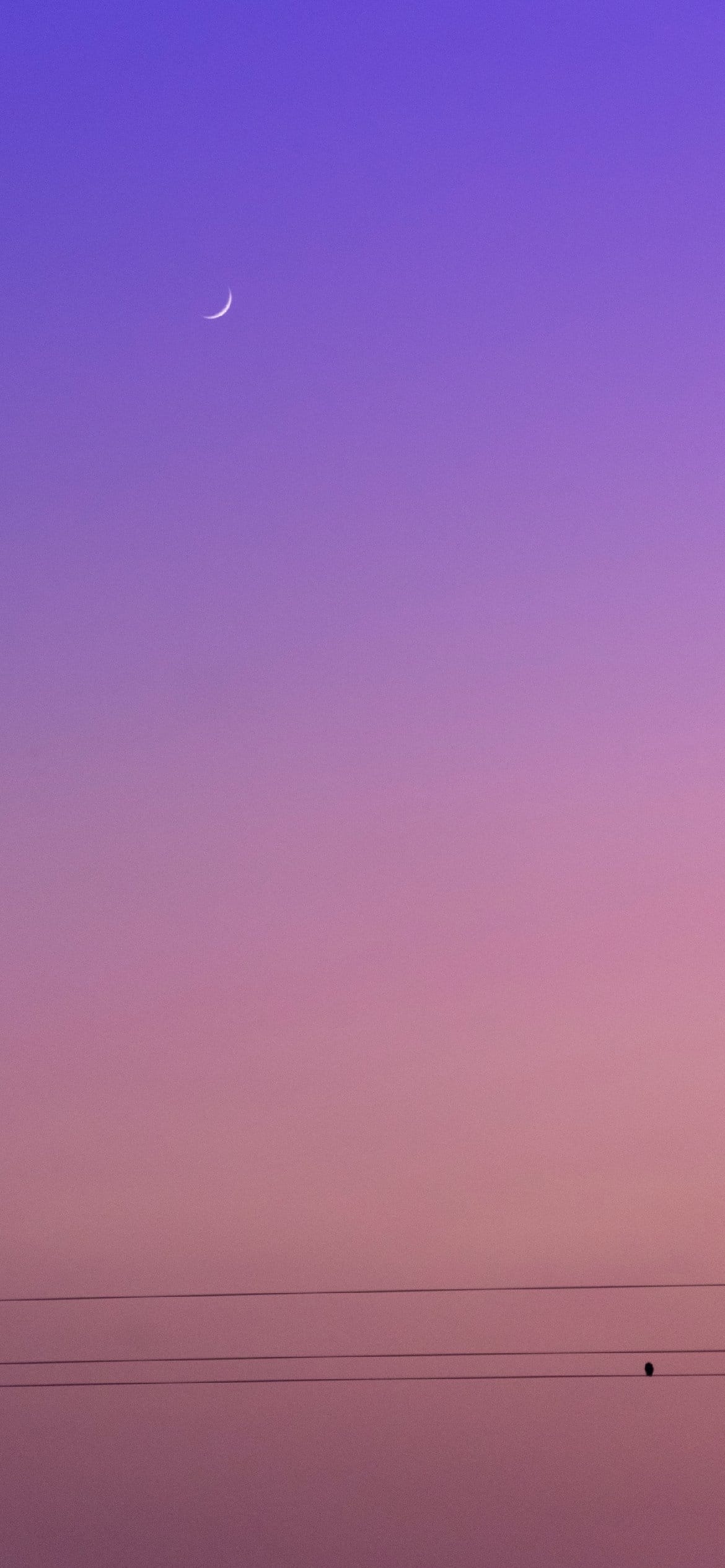 1170x2540 Free Purple Aesthetic Wallpaper Background Perfect For Your iPhone, Phone