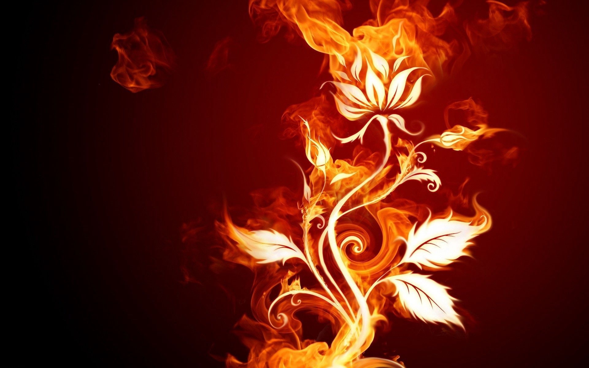 1920x1200 Download wallpaper  rose, fire, patterns, background HD background, Desktop