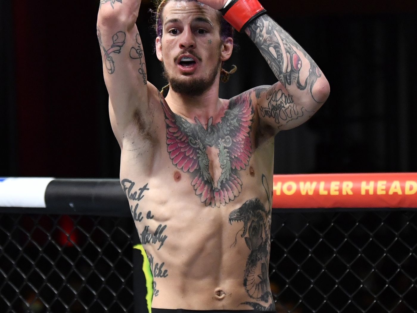 1400x1050 Sean O'Malley vs. Louis Smolka headed to UFC 264: Poirier vs. McGregor III, Desktop