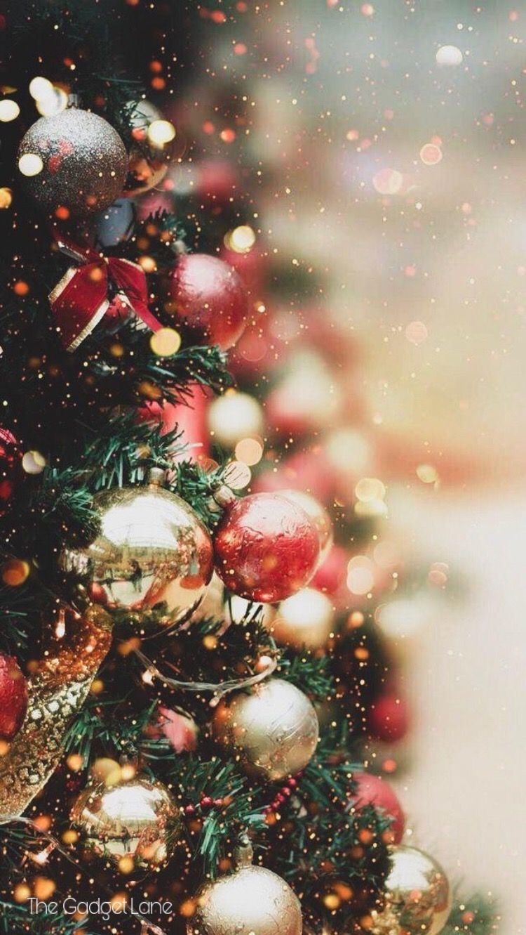 750x1340 Christmas. New Year. Wallpaper. Christmas tree photography, Christmas phone wallpaper, Christmas tree wallpaper, Phone