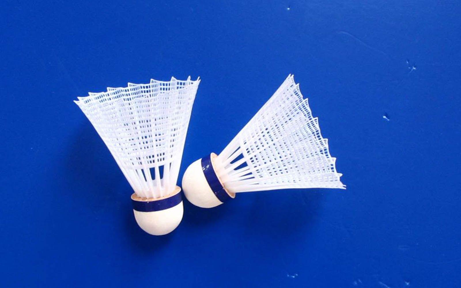 1600x1000 badminton Computer Wallpaper, Desktop Backgroundx1000, Desktop