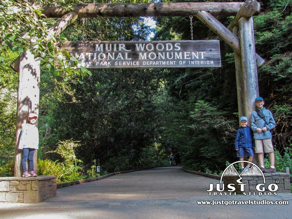 1030x770 Just Go to Muir Woods National Monument Morning of Hiking, Desktop