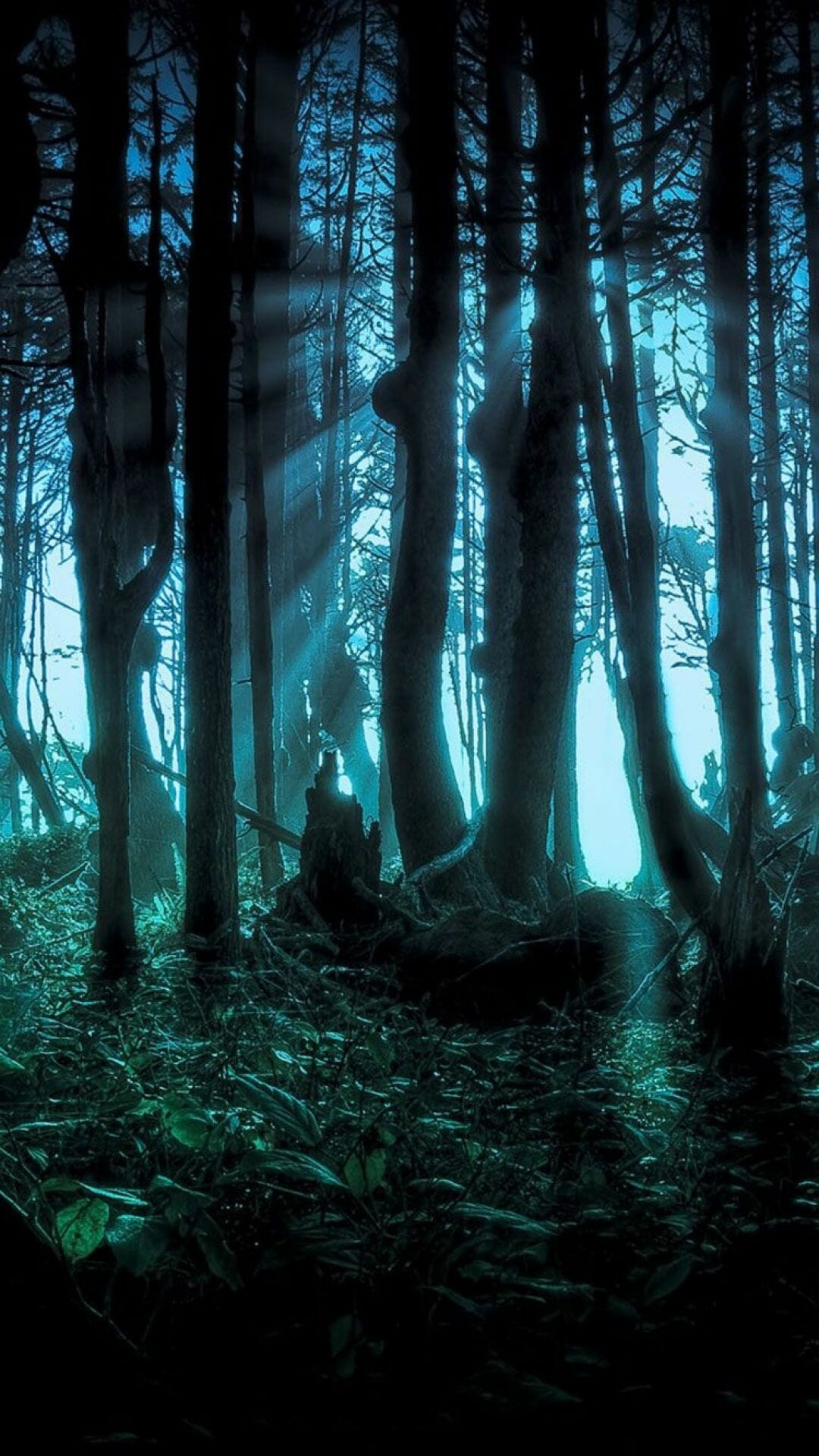 1080x1930 Halloween iPhone Wallpaper / iPhone HD Wallpaper Background Download (png / jpg) (2021), Phone