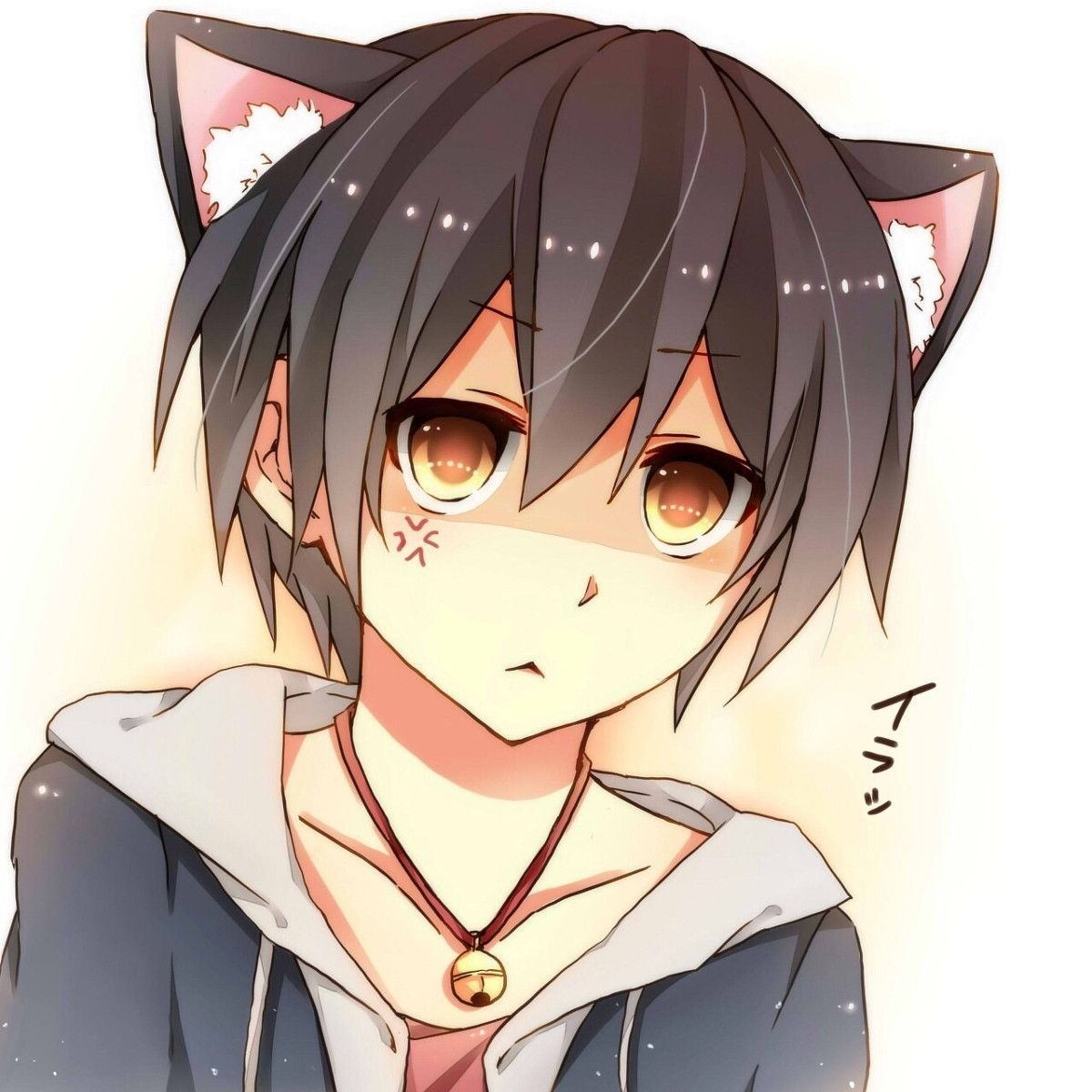 1200x1200 Cute Anime Cat Boy Wallpaper Free Cute Anime Cat Boy Background, Phone
