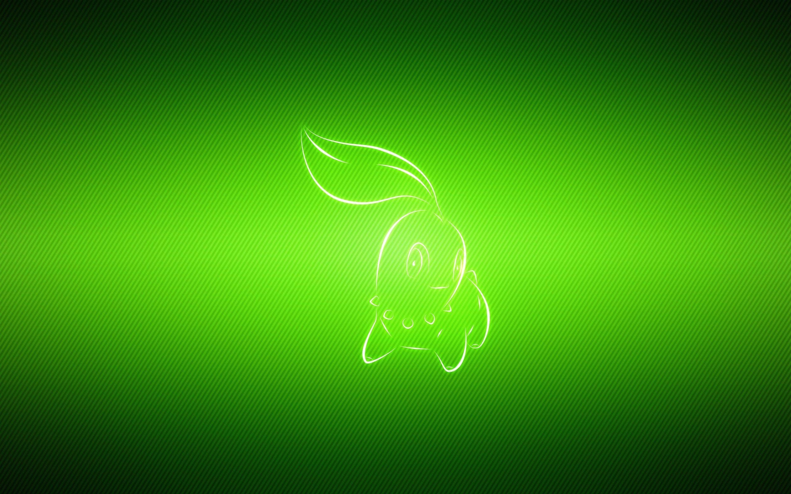 2560x1600 Pokemon video games multicolor manga chikorita wallpaper, Desktop