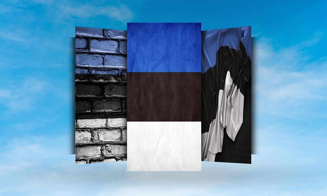 1340x800 Estonia Flag Wallpaper for Android, Desktop