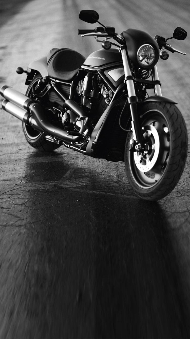 750x1340 Harley iPhone Wallpaper Free Harley iPhone Background, Phone