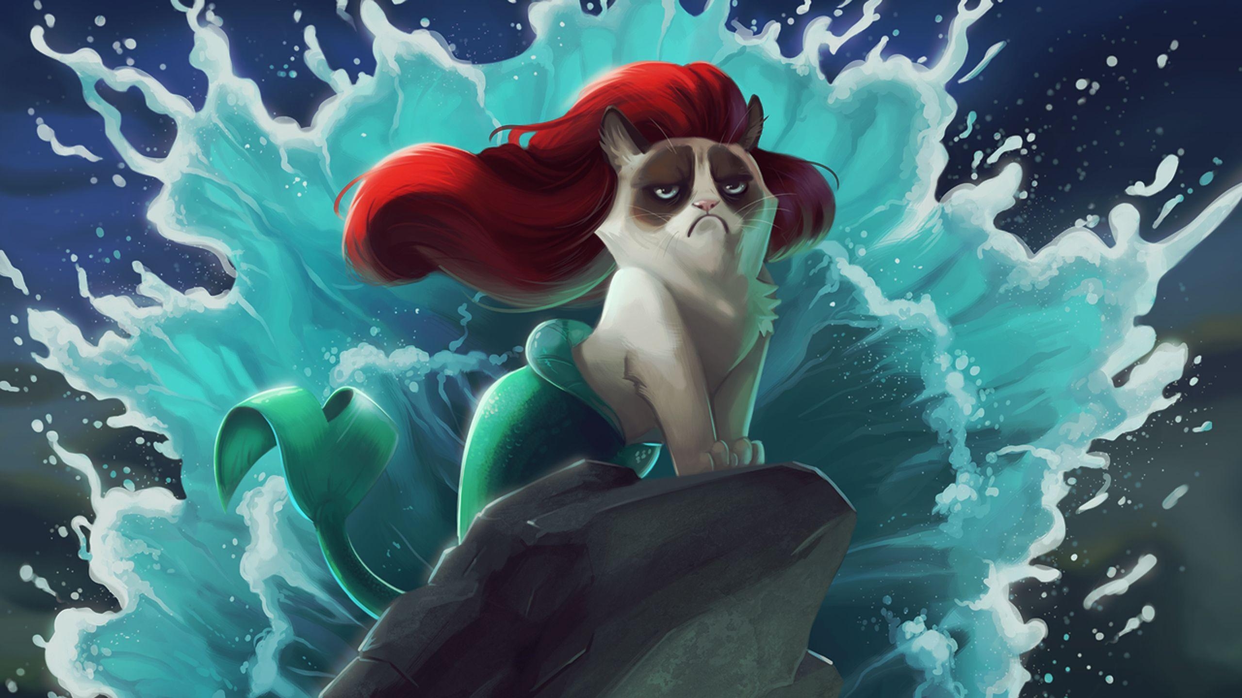 2560x1440 Mac iMac 27 Grumpy cat Wallpaper HD, Desktop Background, Desktop