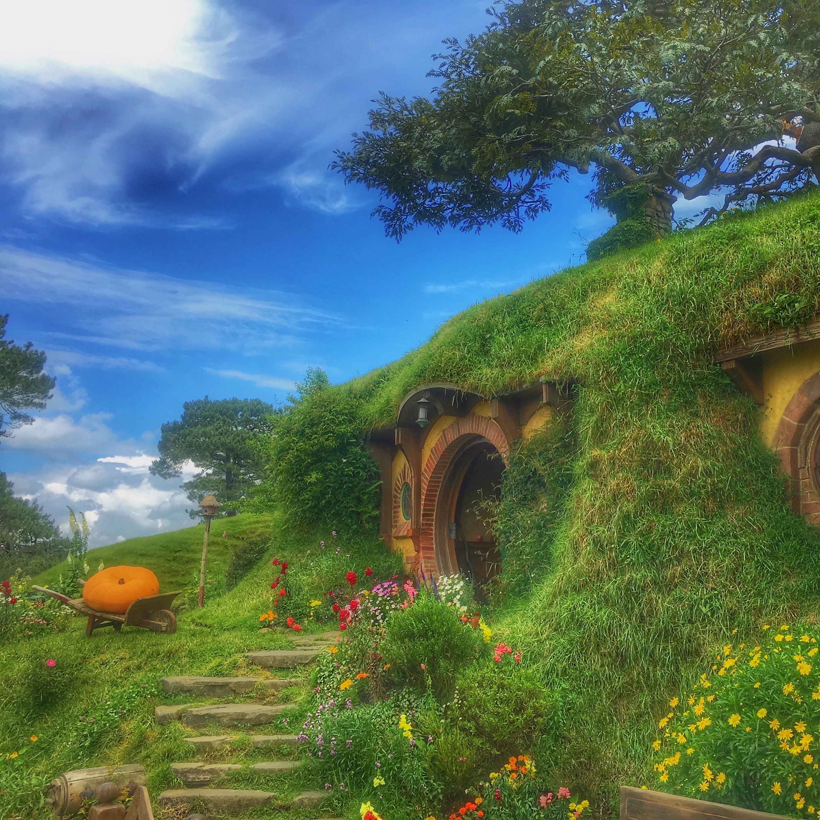 2780x2780 Download wallpaper  hobbiton movie set, forest house, Phone