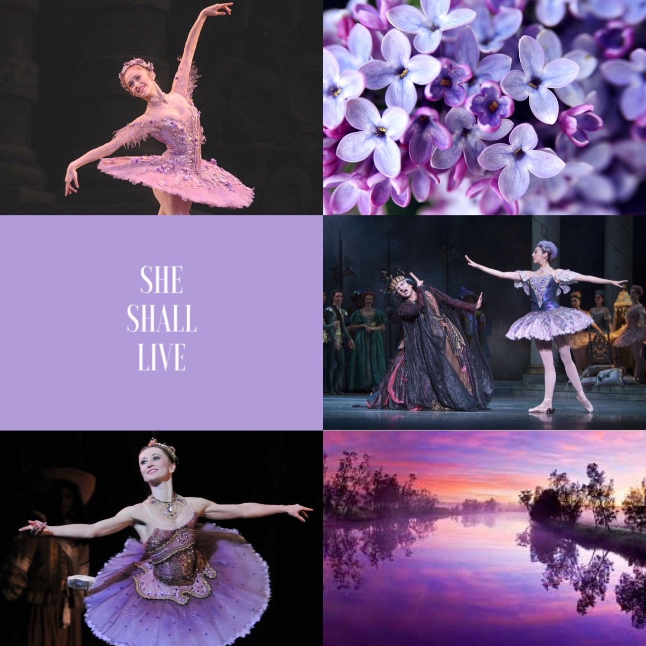 1280x1280 Aesthetic ↳ The Lilac Fairy “She shall live”. Dance wallpaper, Dancing aesthetic, Dancing poses, Phone