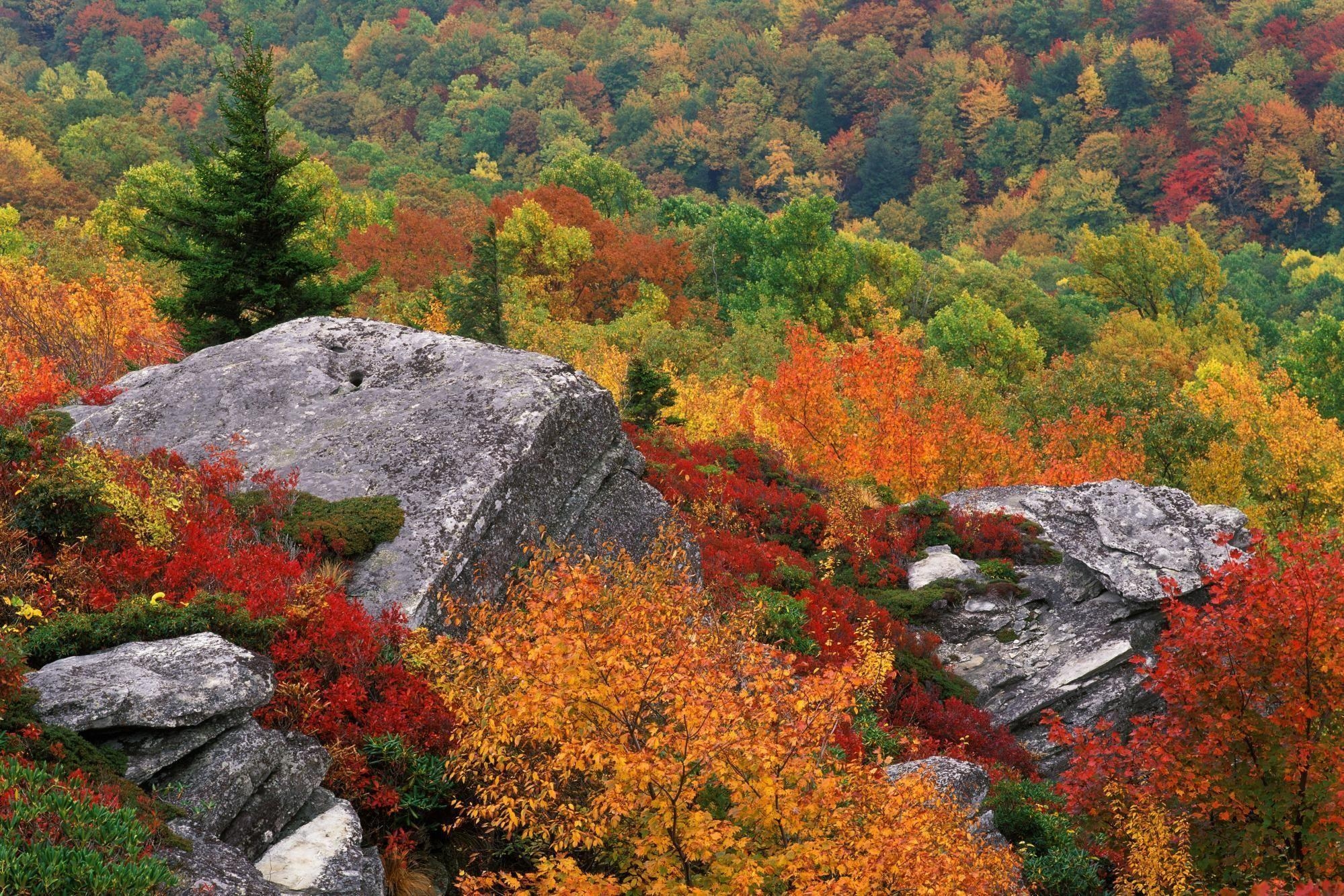 2000x1340 Blue Ridge Parkway North Carolina Autumn HD desktop wallpaper, Desktop